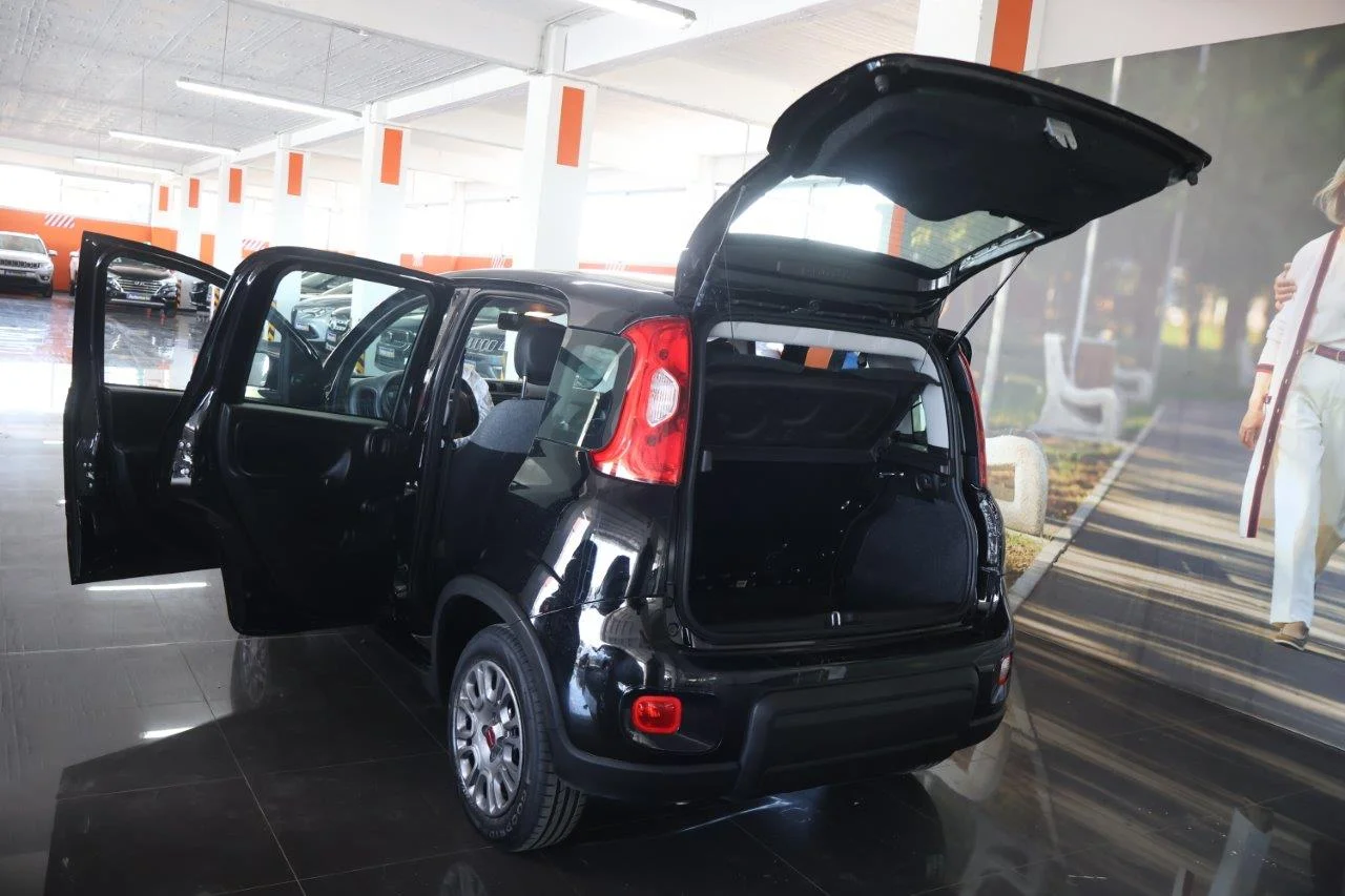 Fiat Panda - View model 9