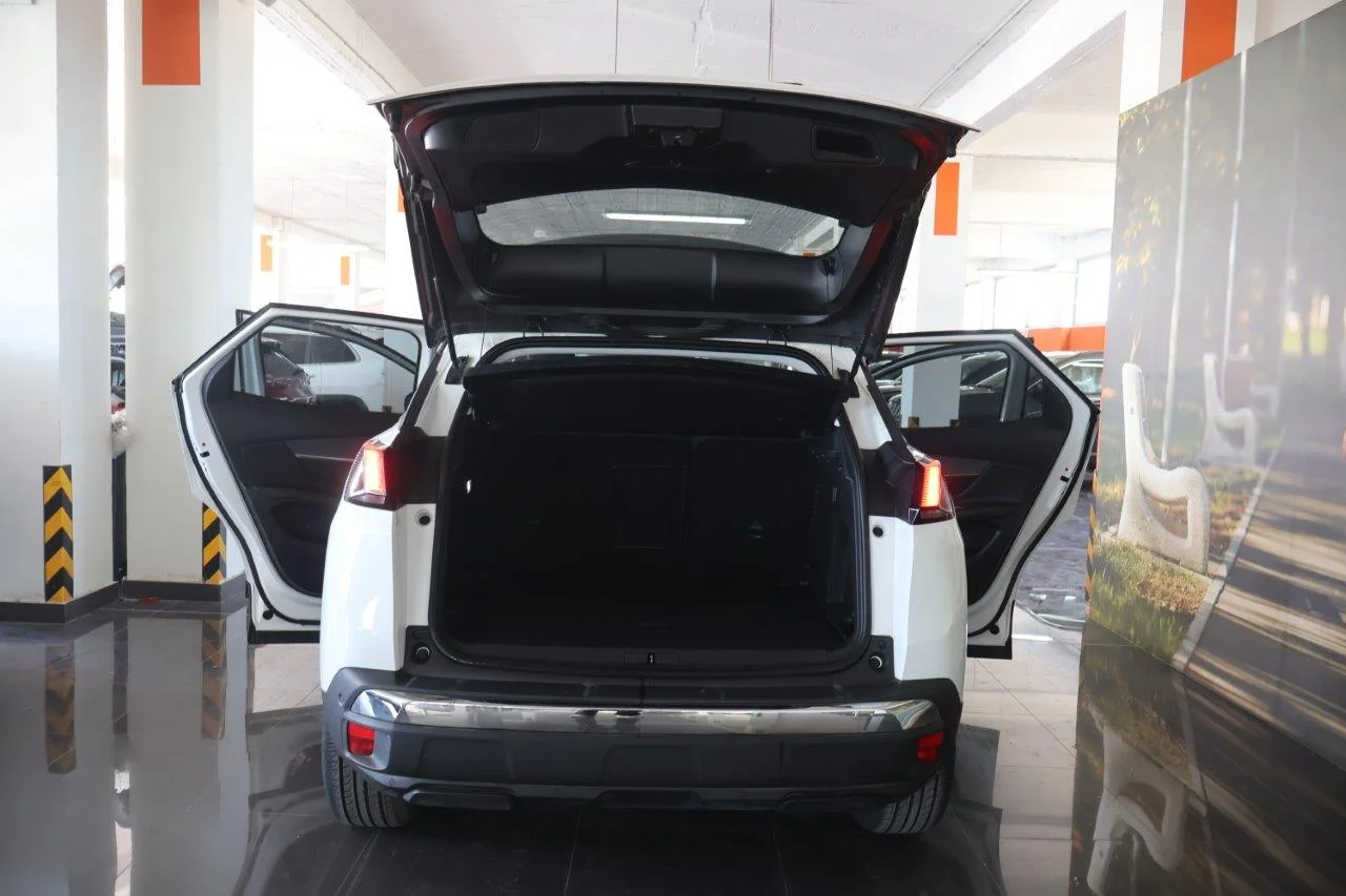 Peugeot 3008 - View model 8