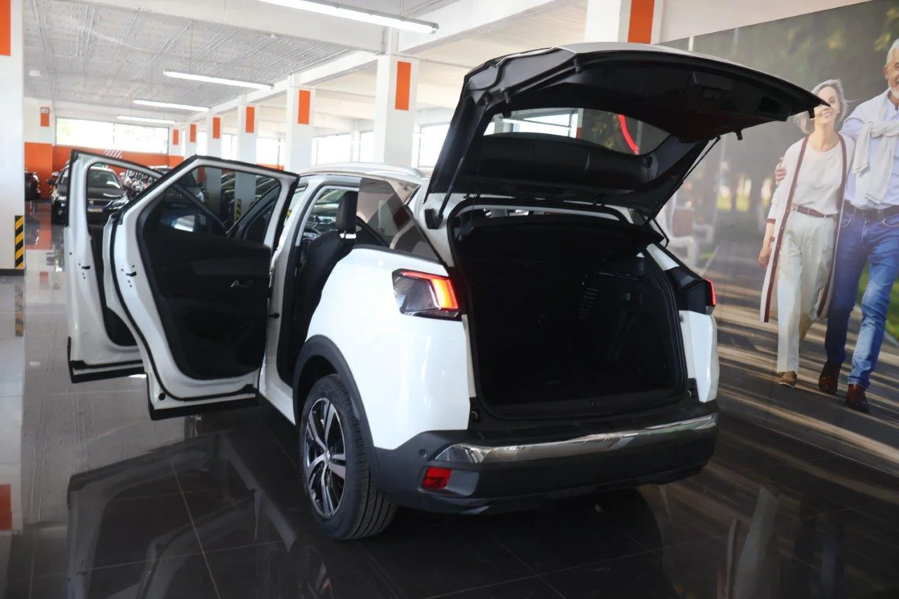 Peugeot 3008 - View model 9
