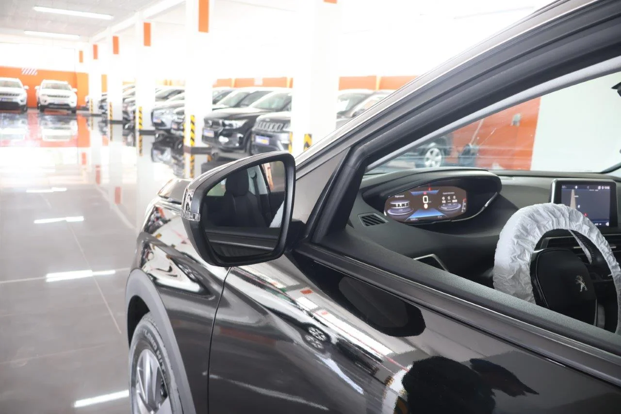Peugeot 3008 - View model 15