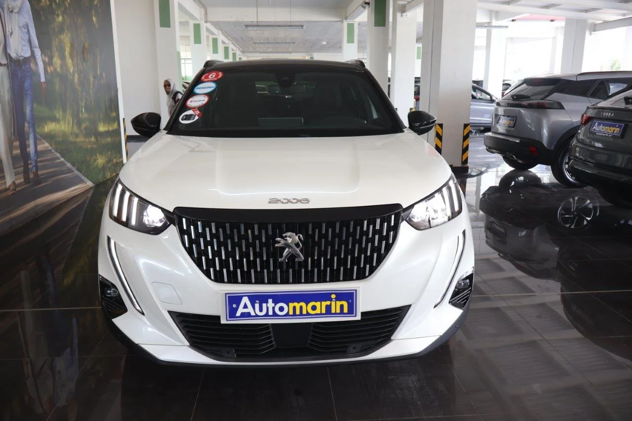 View 3 - Peugeot 2008 - 2020