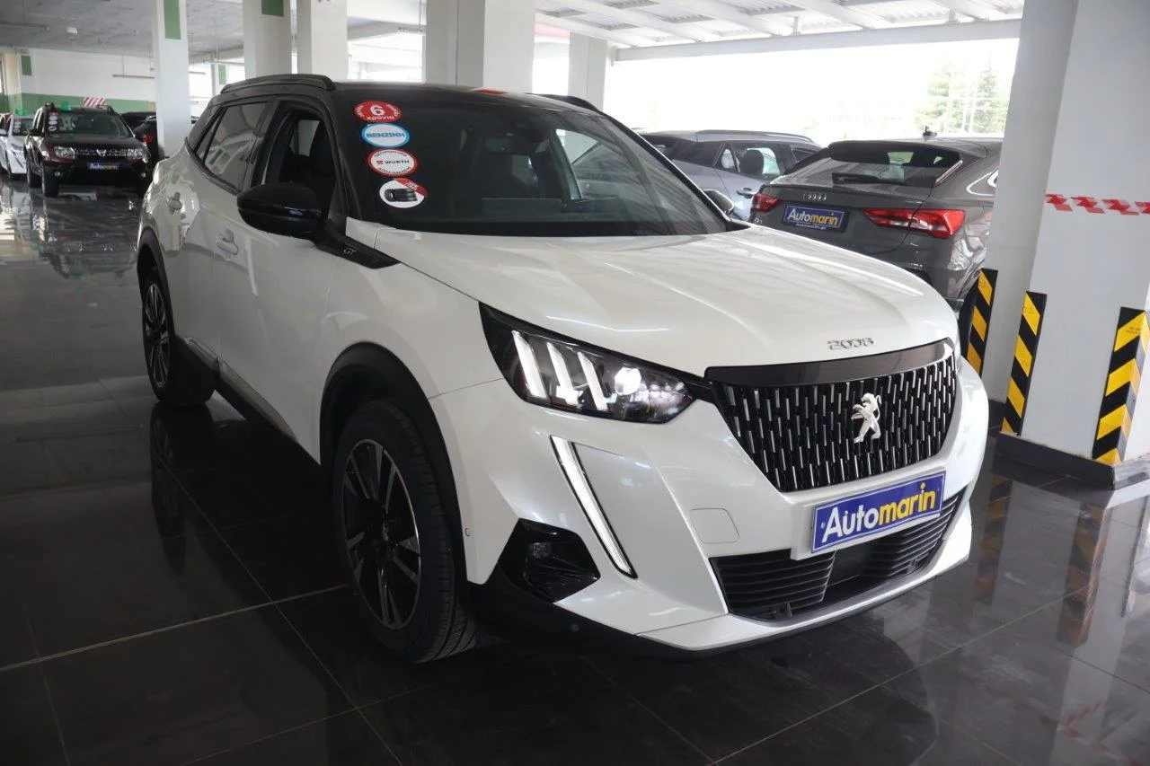 View 4 - Peugeot 2008 - 2020