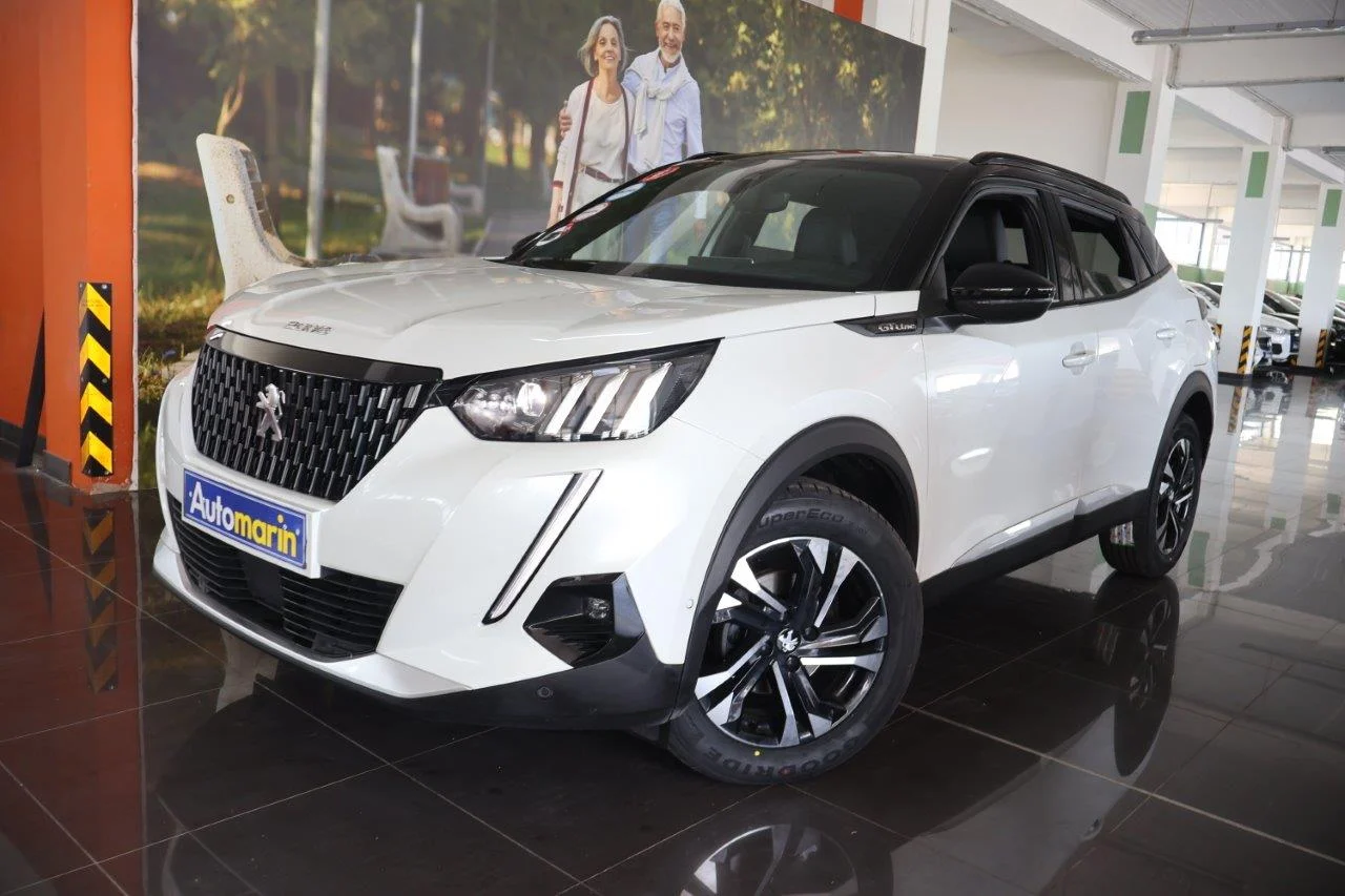 View 1 - Peugeot 2008 - 2020