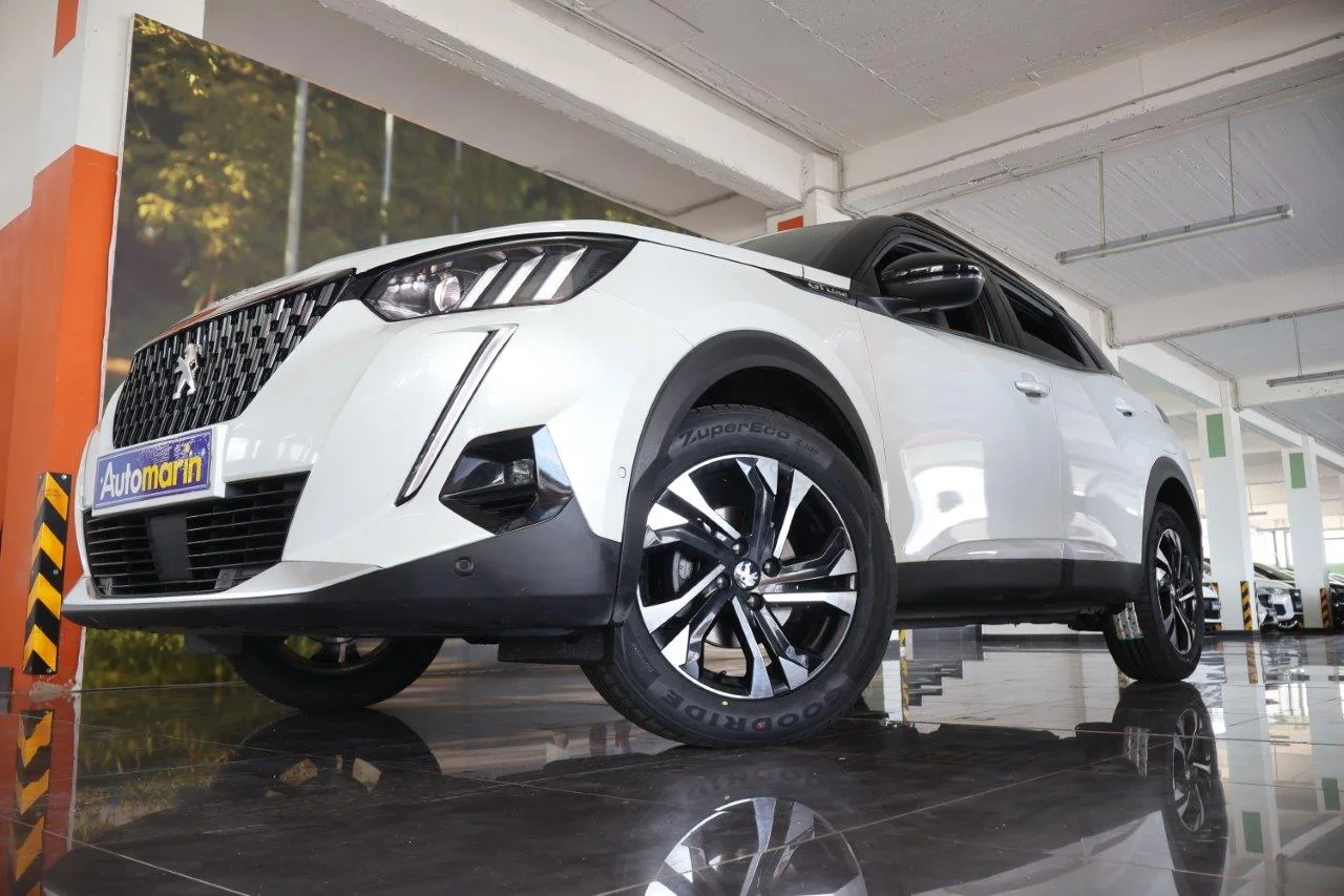 View 2 - Peugeot 2008 - 2020