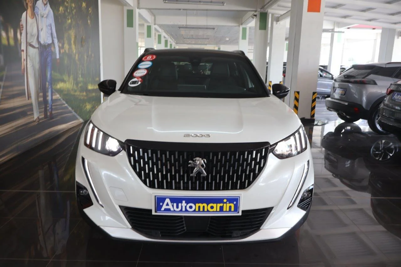 View 3 - Peugeot 2008 - 2020