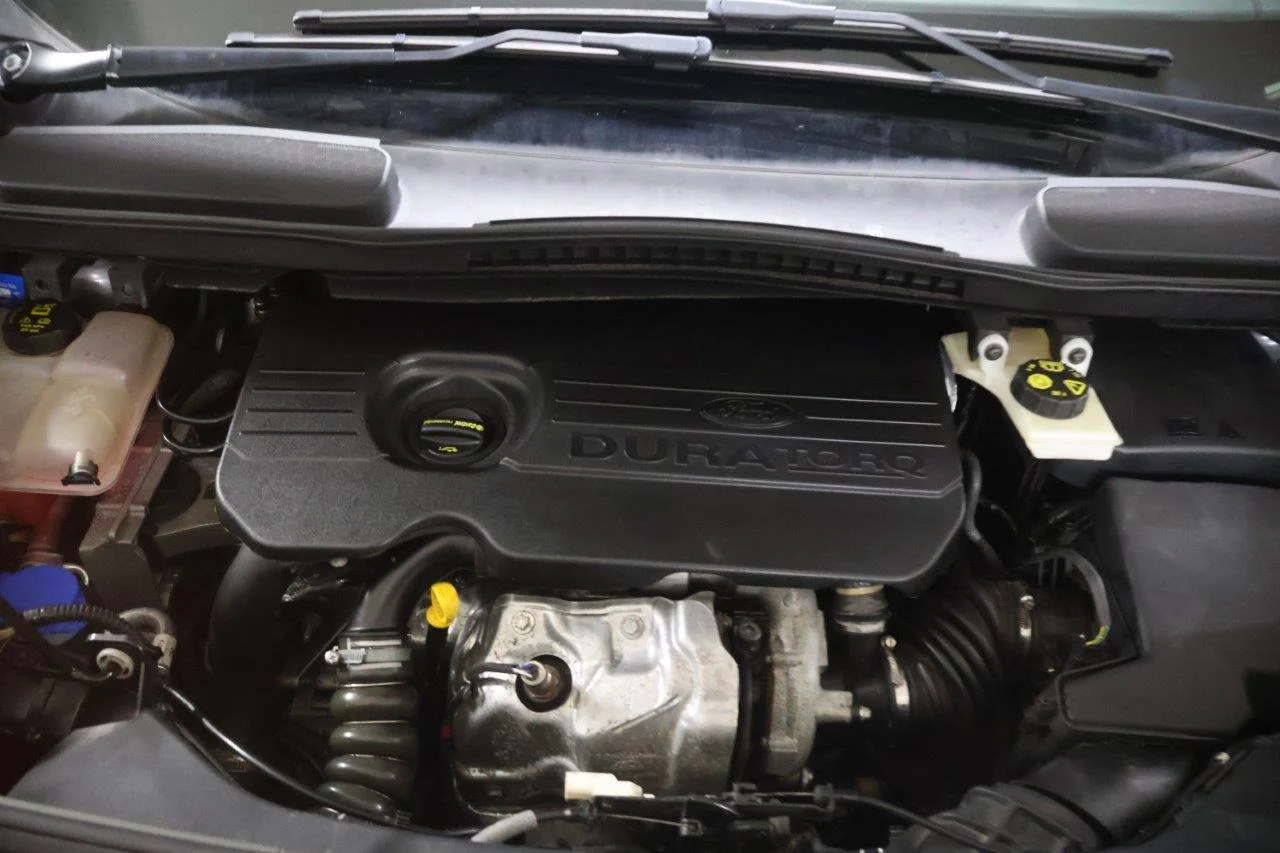 Ford Grand Tourneo - View model 19
