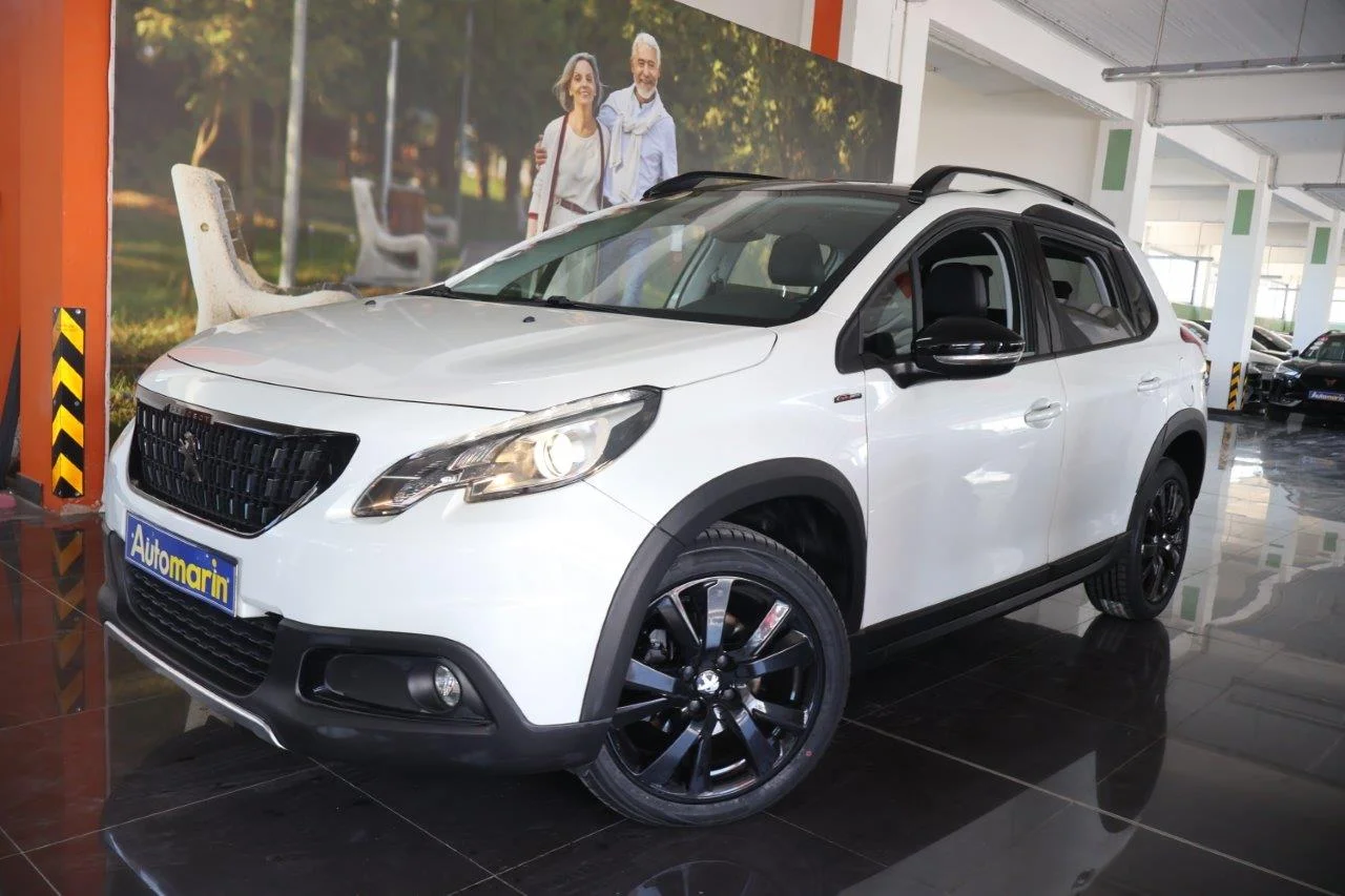 View 1 - Peugeot 2008 - 2019