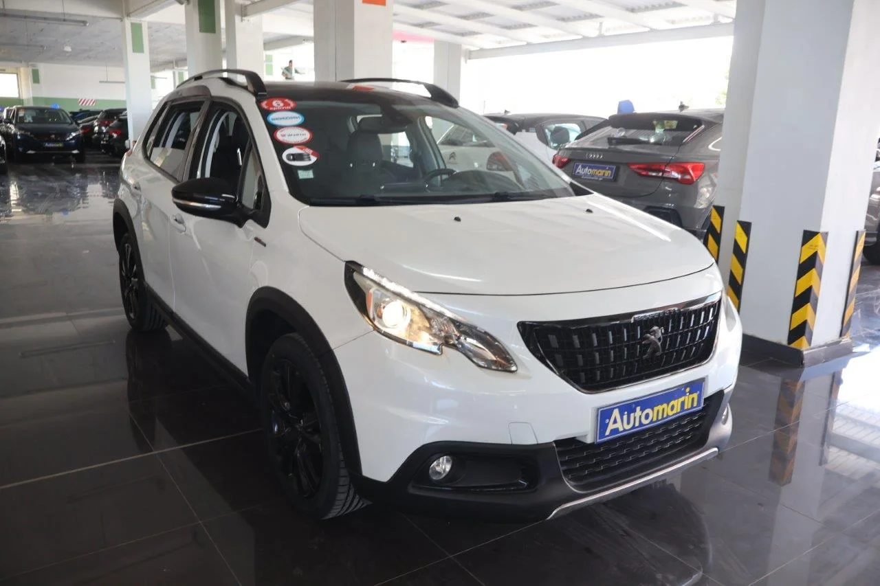View 5 - Peugeot 2008 - 2019