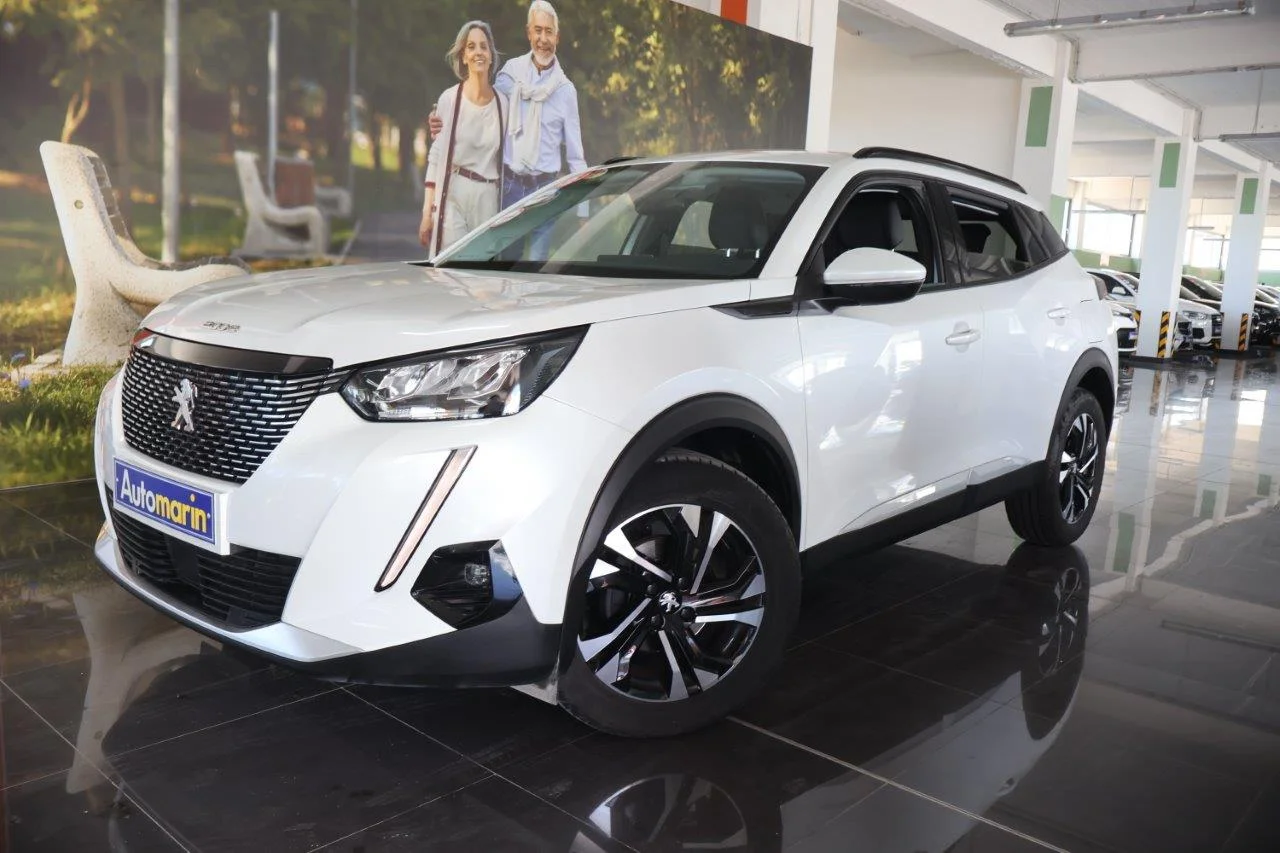 View 1 - Peugeot 2008 - 2021