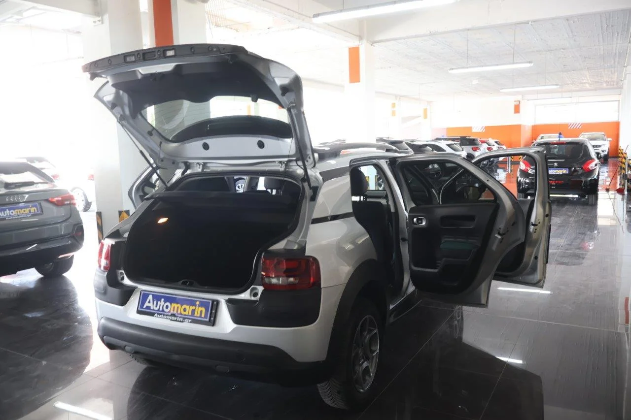 Citroen C4 Cactus - View model 9