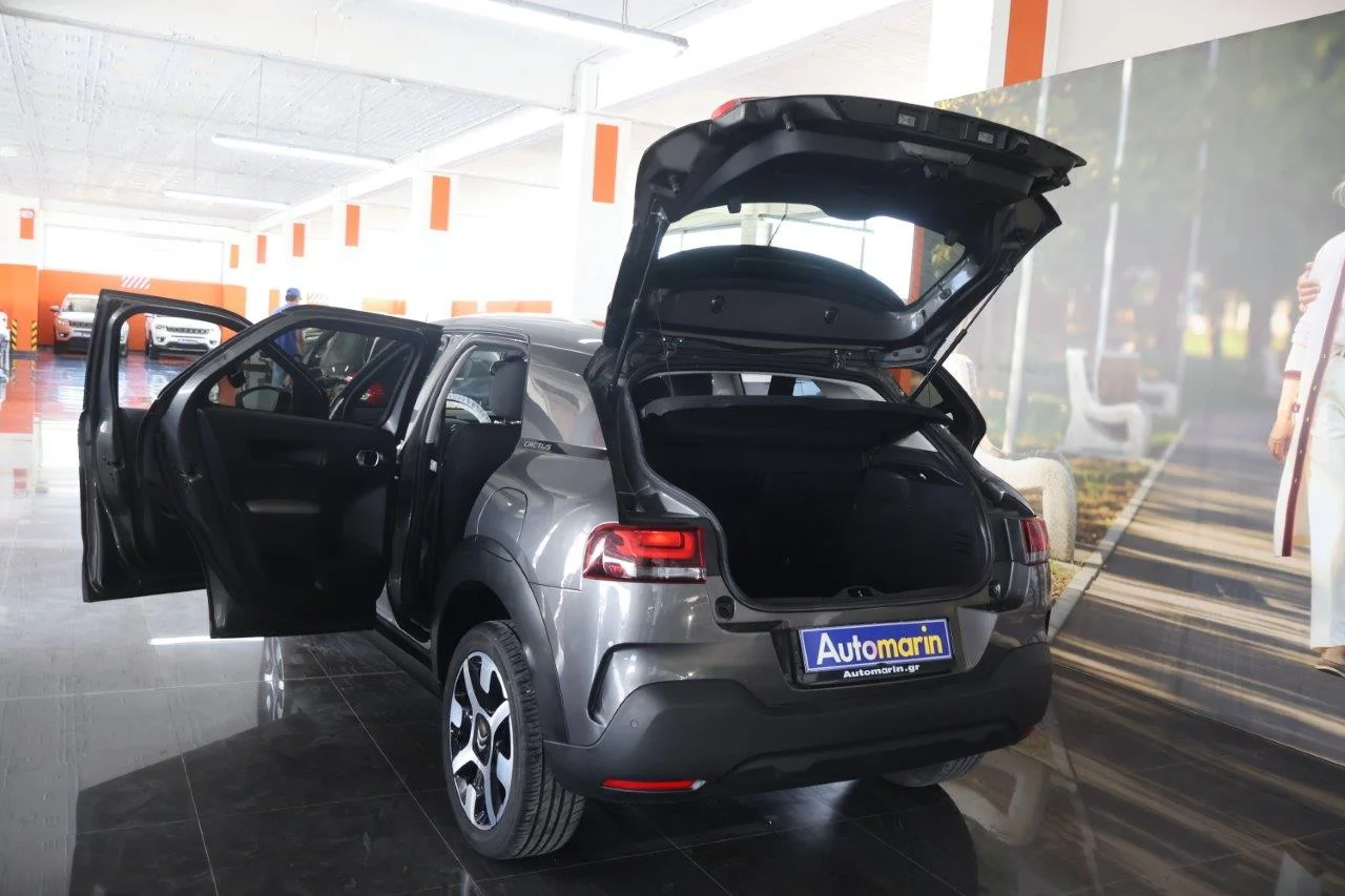 Citroen C4 Cactus - View model 9