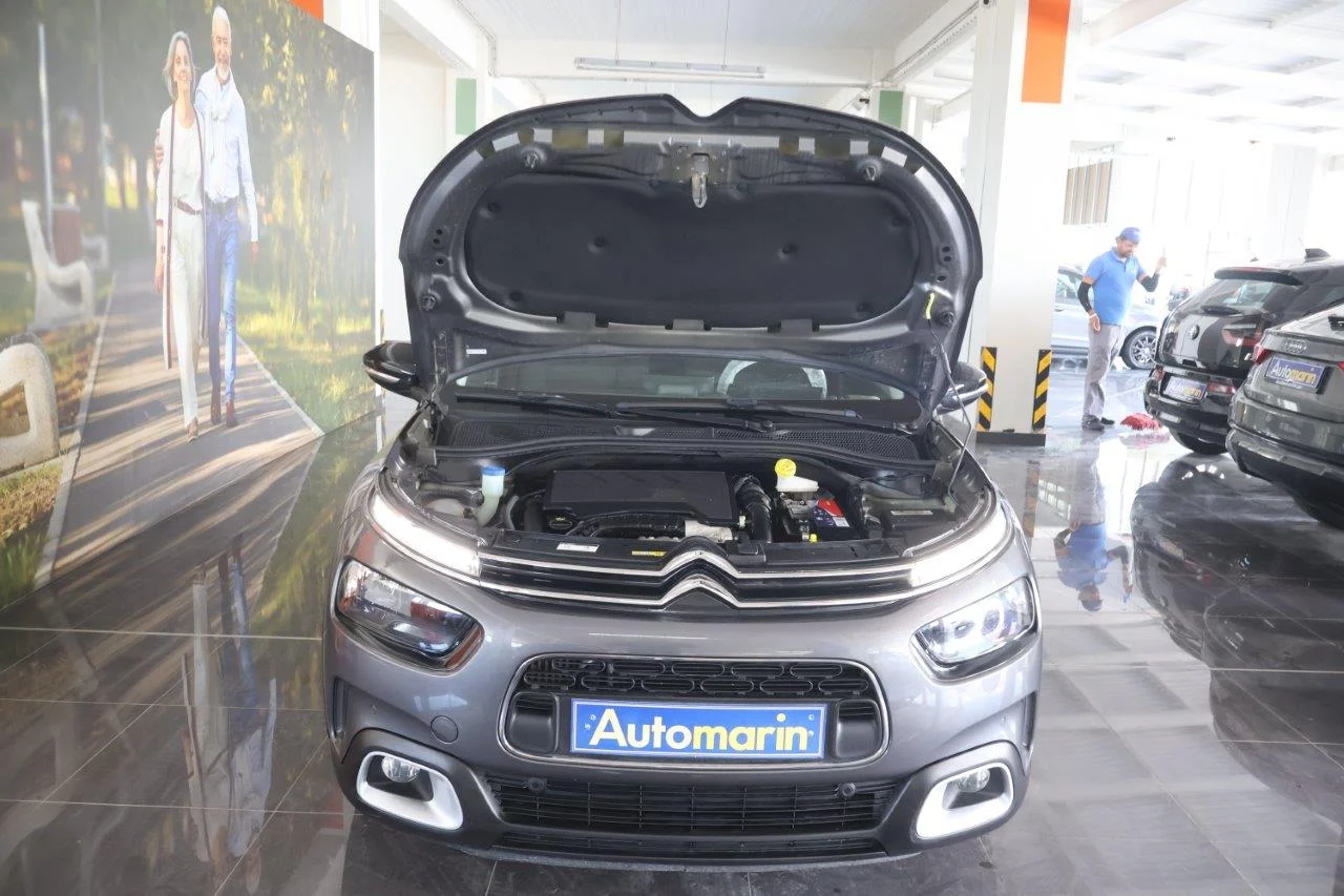 Citroen C4 Cactus - View model 18