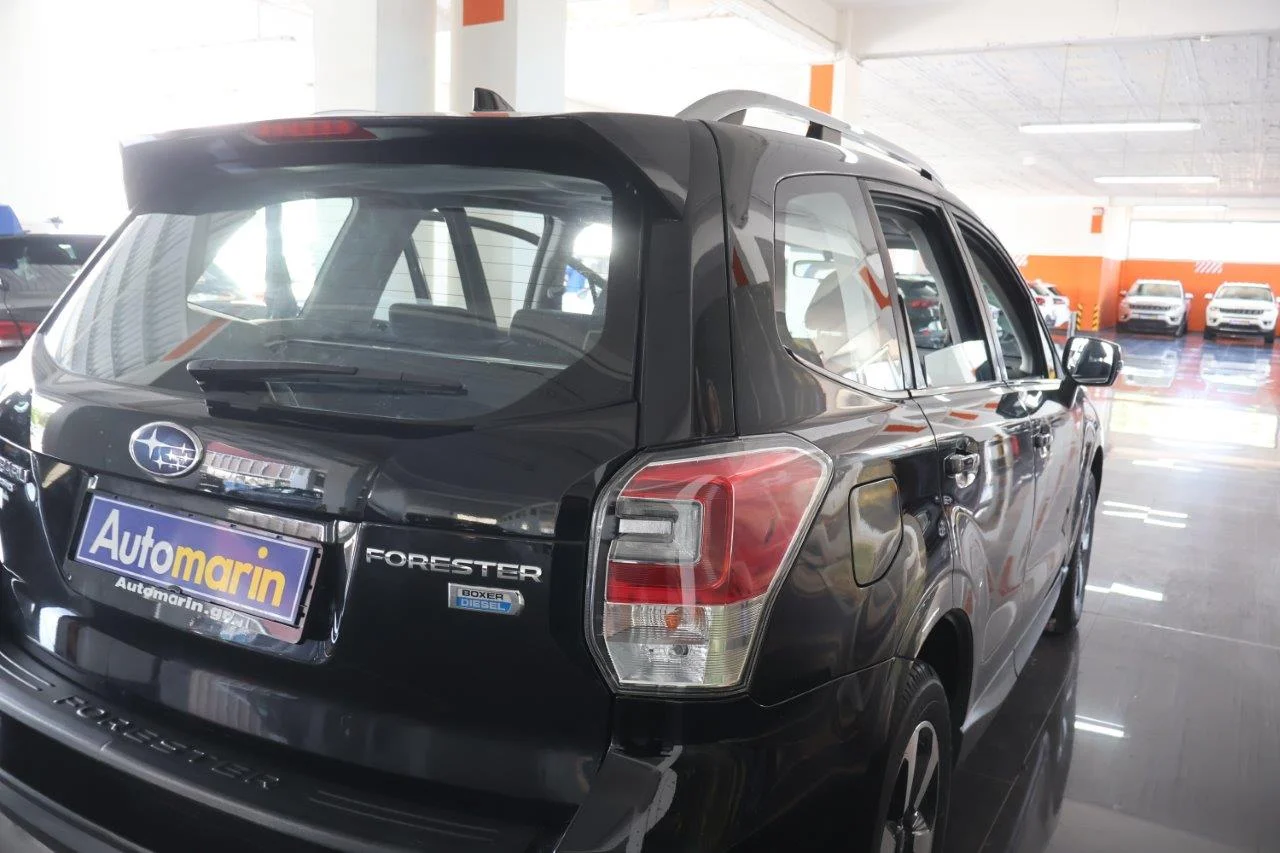 Subaru Forester - View model 11