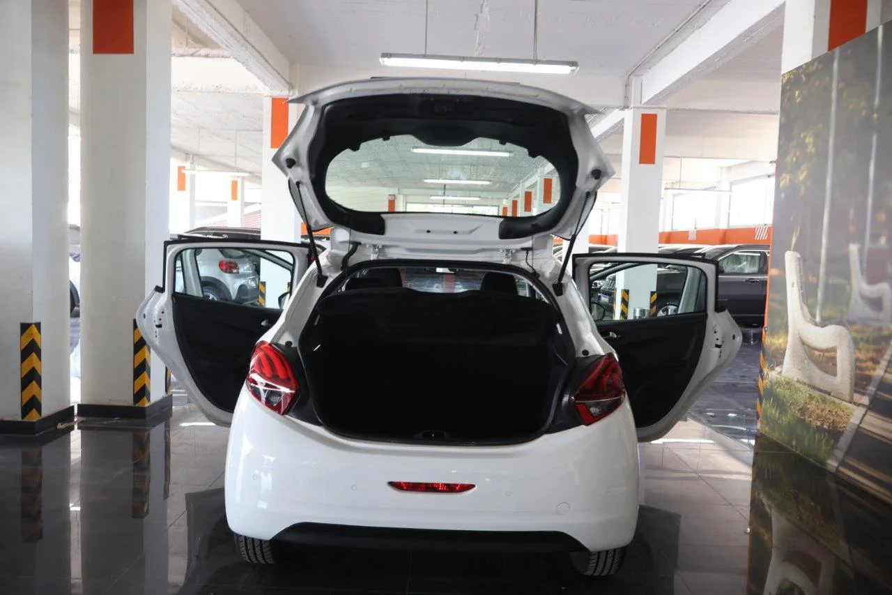 Peugeot 208 - View model 8
