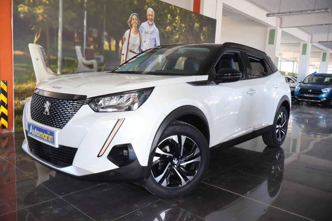 View 1 - Peugeot 2008 - 2020