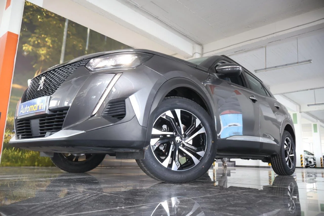 View 2 - Peugeot 2008 - 2020