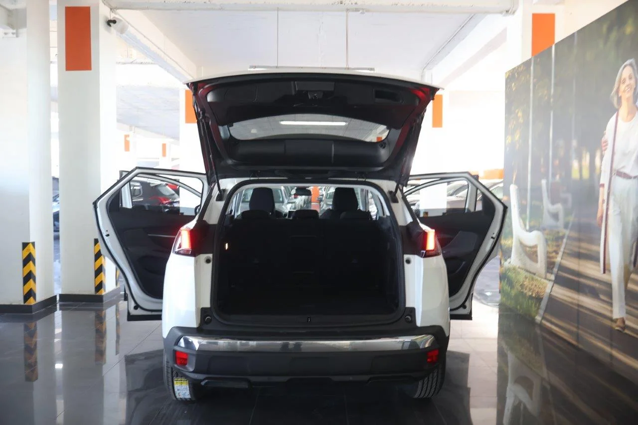 Peugeot 3008 - View model 8