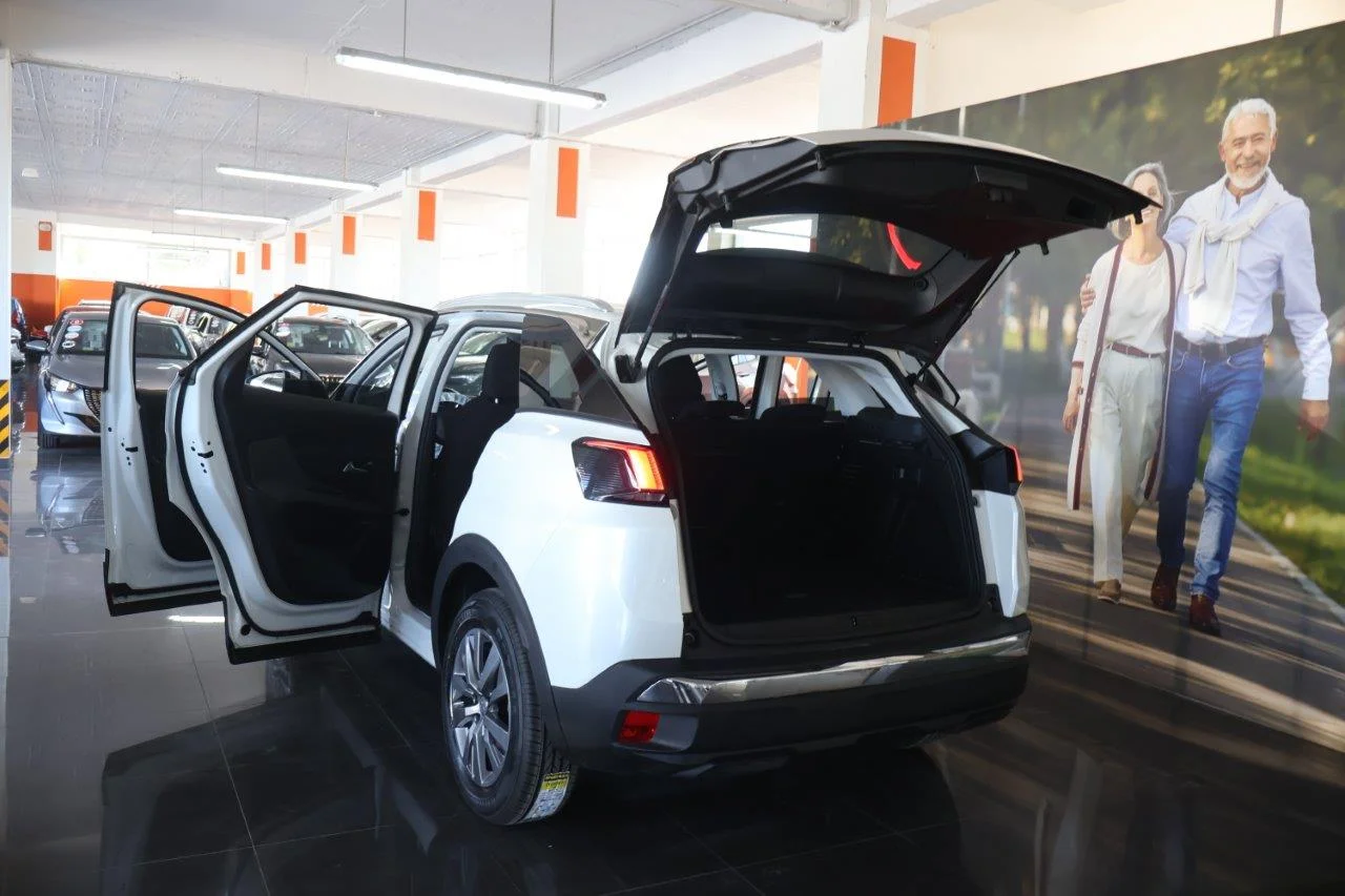 Peugeot 3008 - View model 9