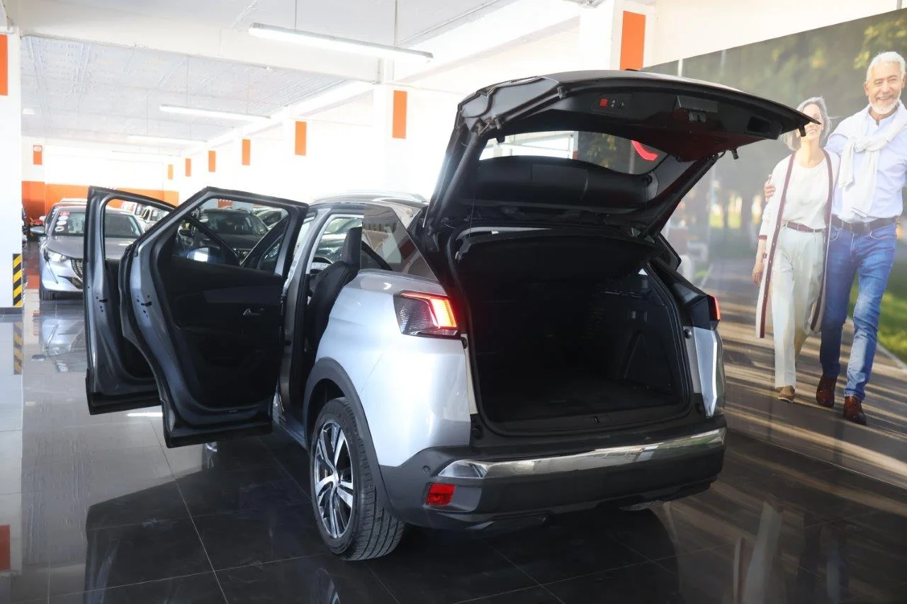 Peugeot 3008 - View model 9