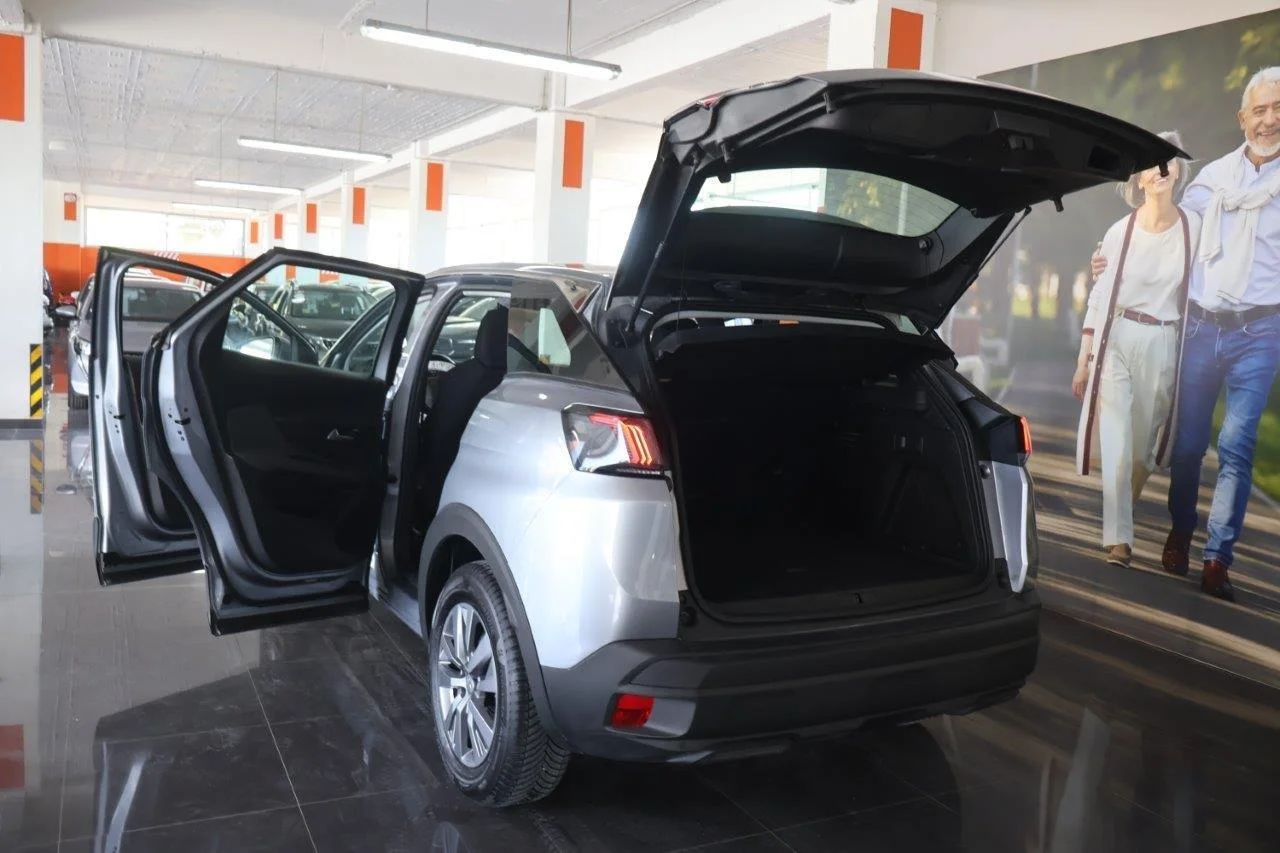 Peugeot 3008 - View model 9