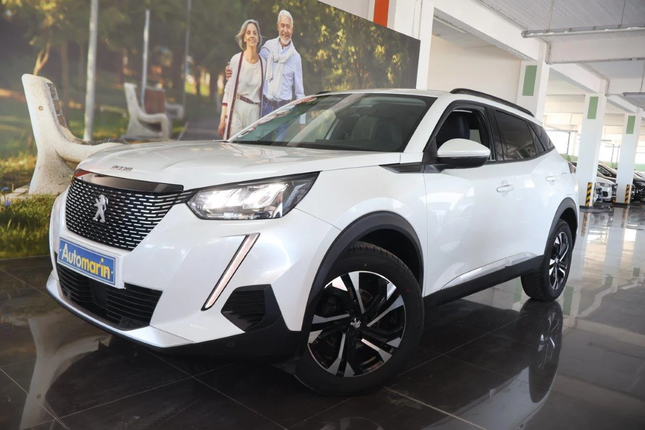 View 1 - Peugeot 2008 - 2020