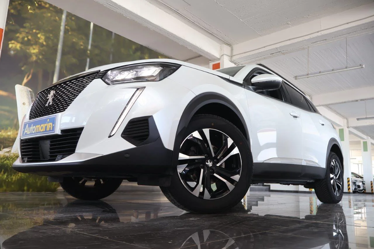 View 2 - Peugeot 2008 - 2020