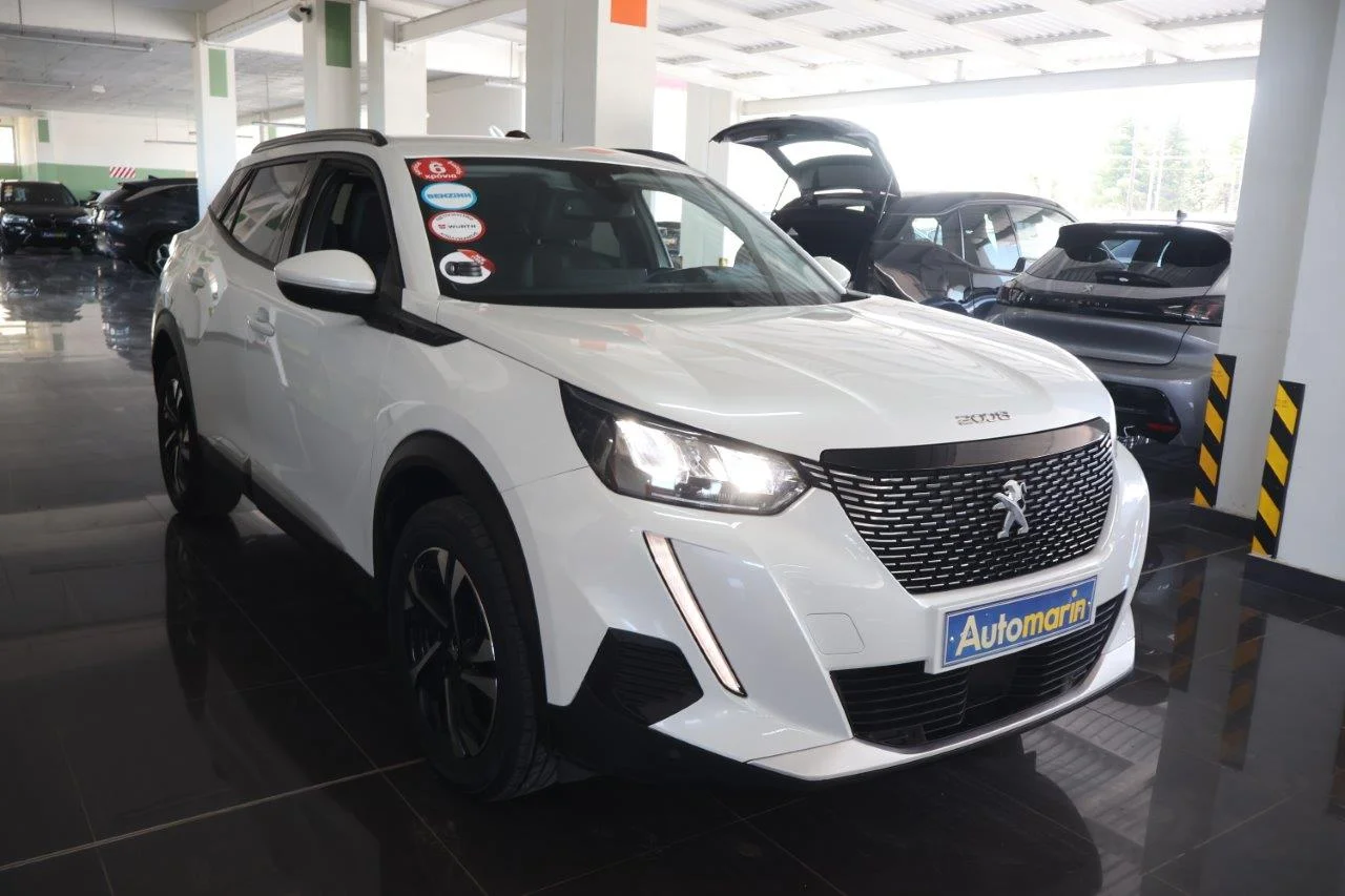 View 4 - Peugeot 2008 - 2020