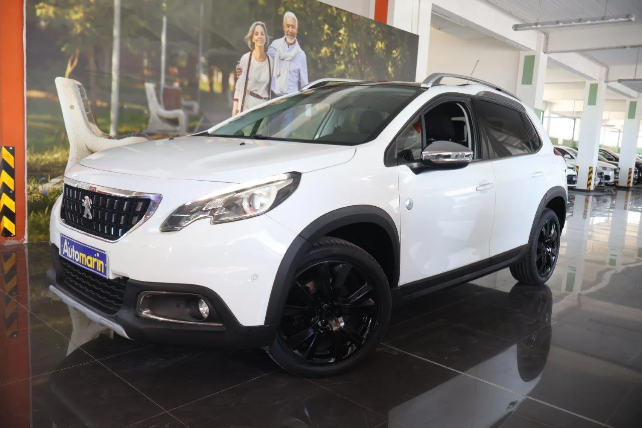 View 1 - Peugeot 2008 - 2017