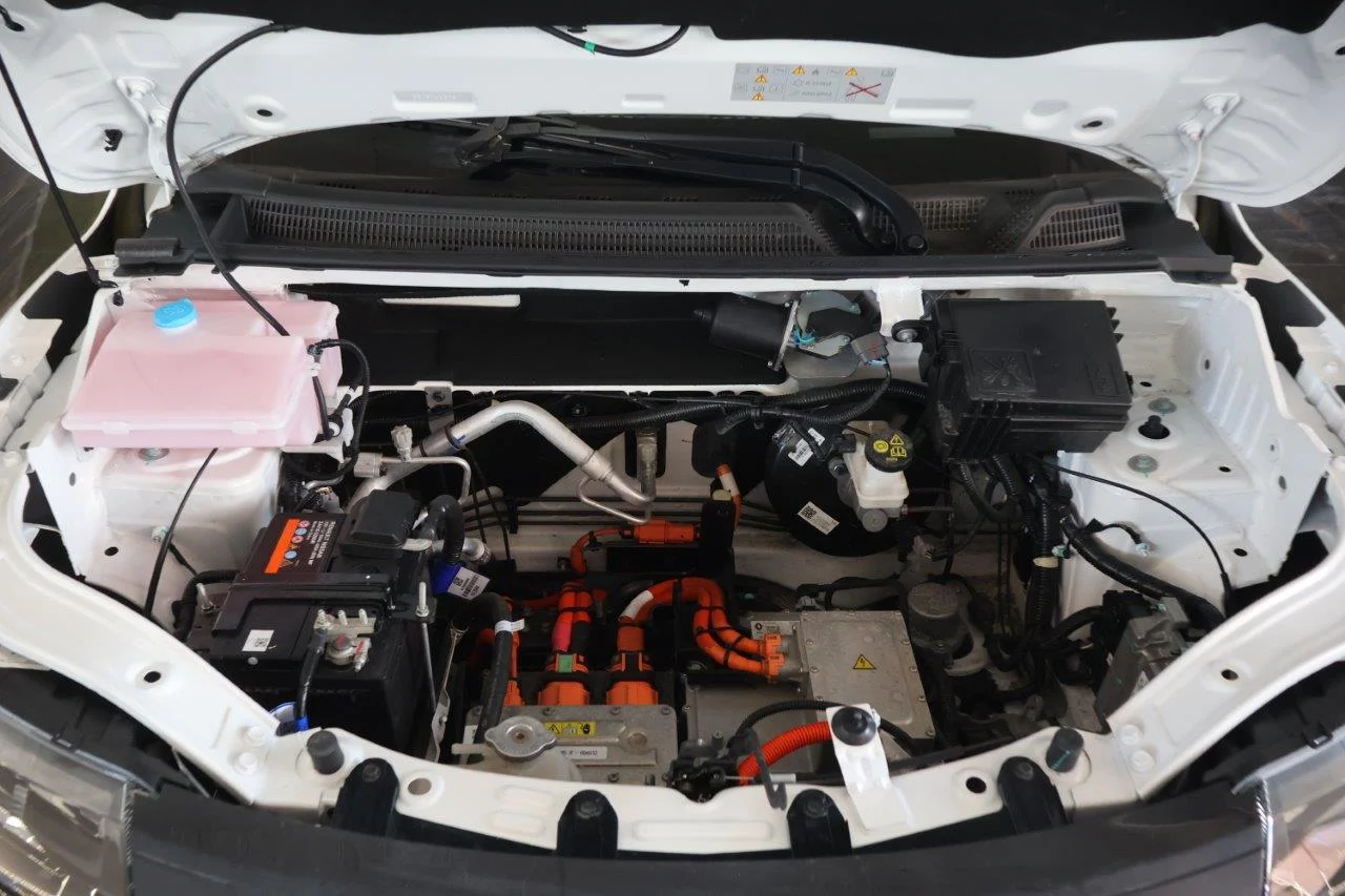 Dacia Spring - View model 22
