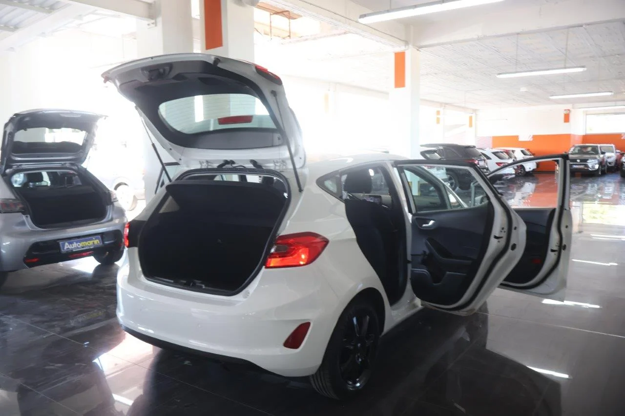 Ford Fiesta - View model 7