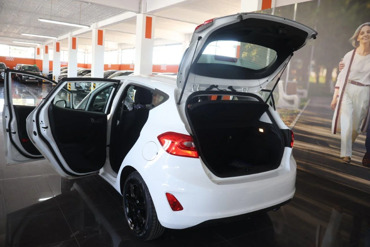 Ford Fiesta - View model 9