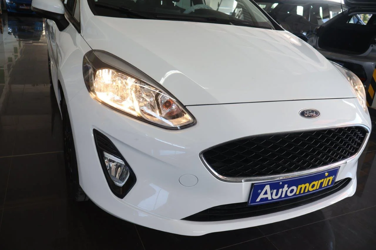 Ford Fiesta - View model 17