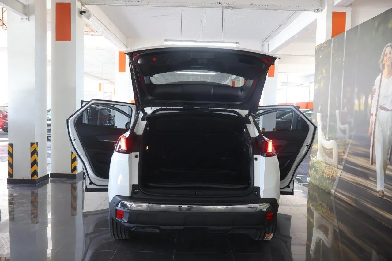 Peugeot 3008 - View model 8