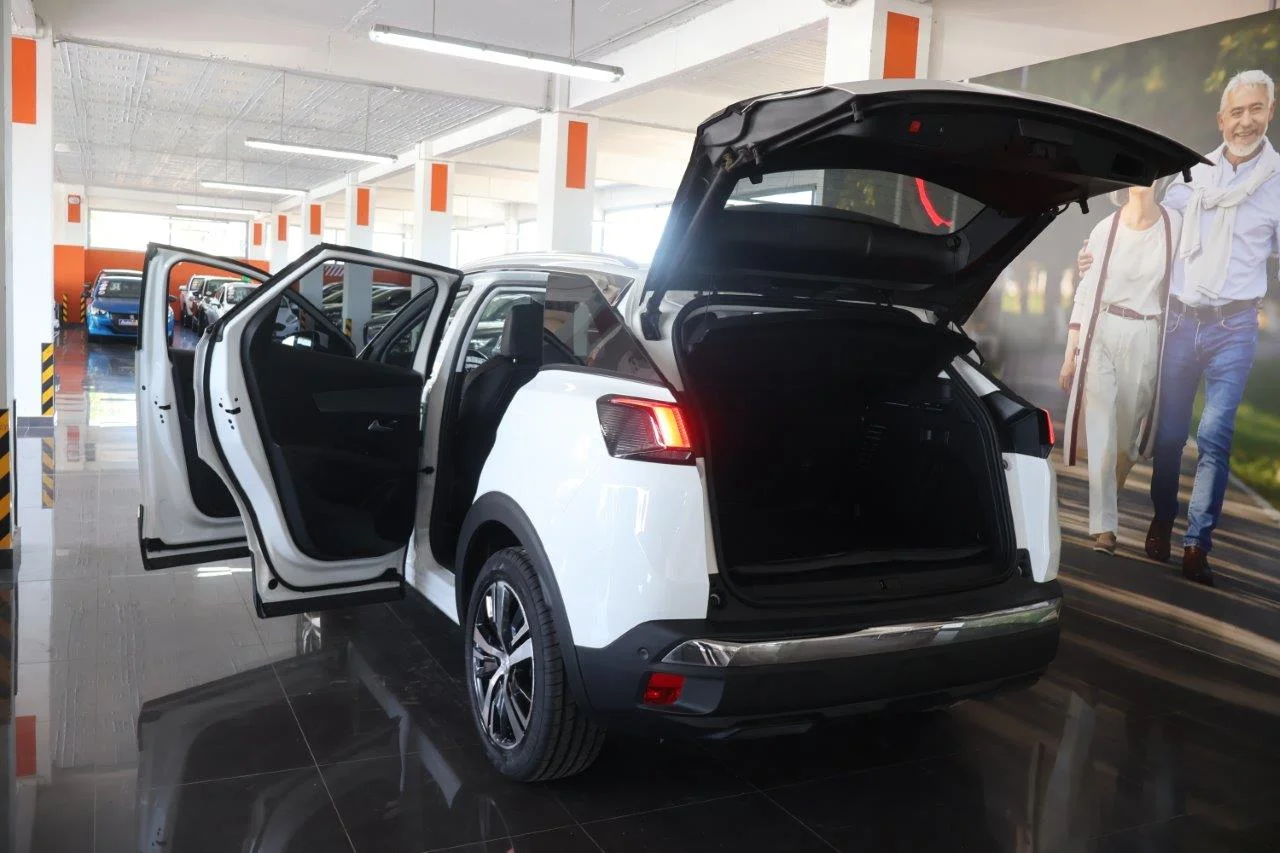 Peugeot 3008 - View model 9