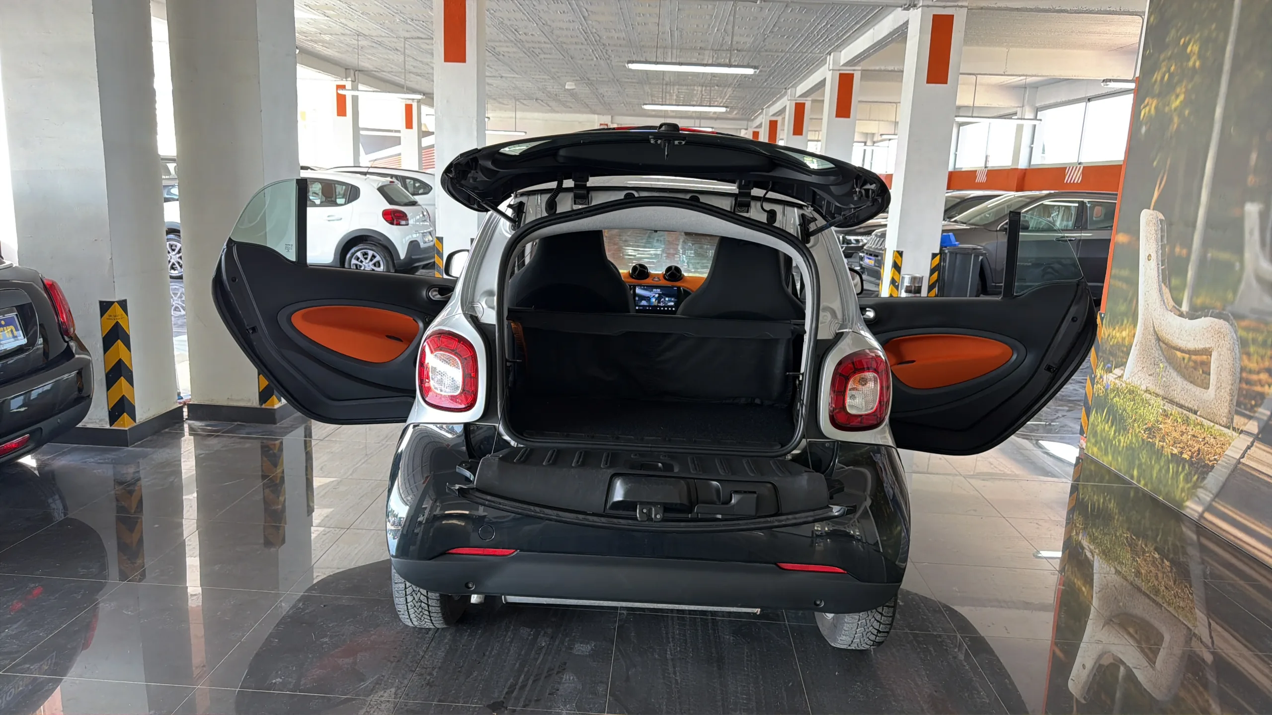 Smart ForTwo - View model 13