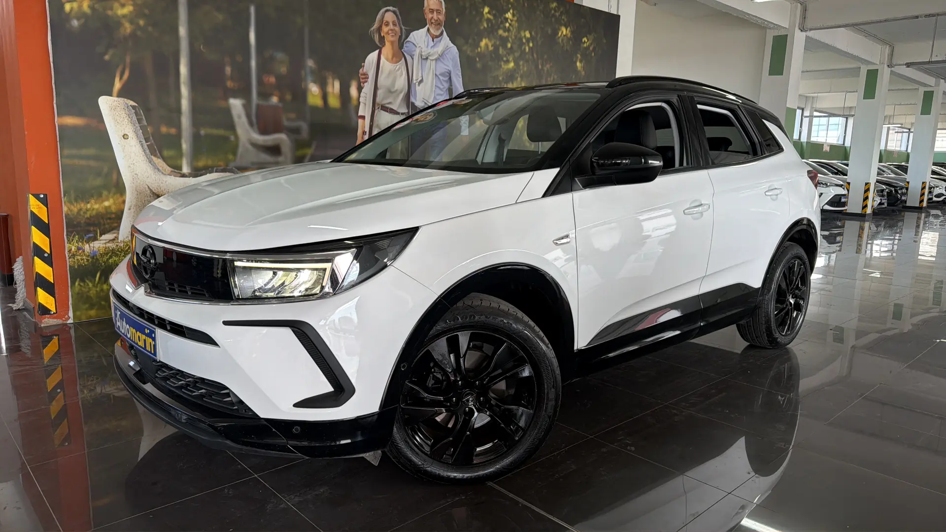 View 1 - Opel Grandland X - 2022